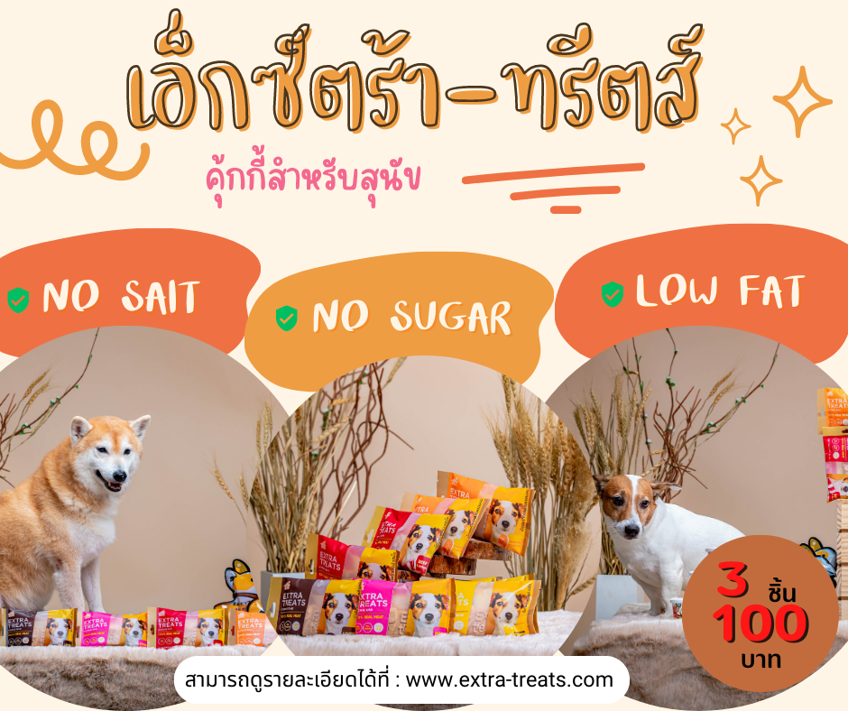คุกกี้สุนัขโฮมเมด